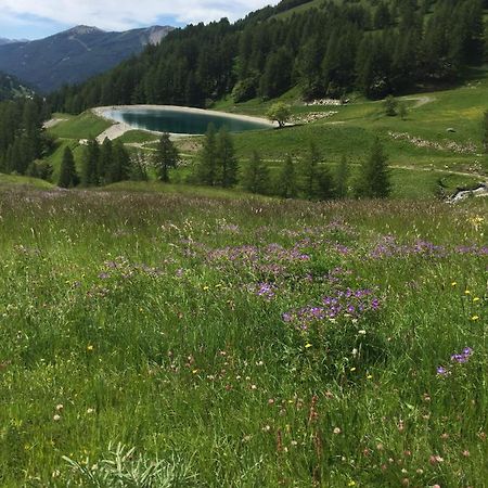 Studio Montagne Allos Kültér fotó