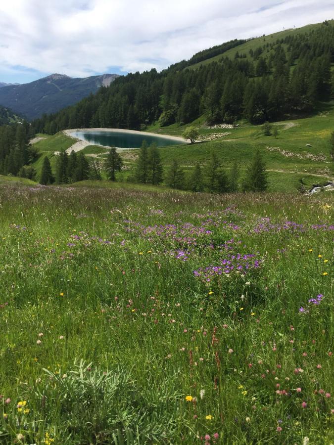 Studio Montagne Allos Kültér fotó