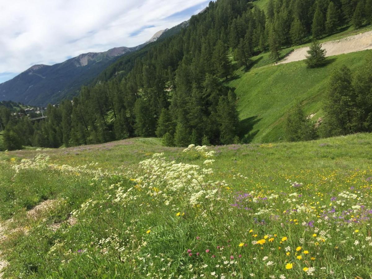 Studio Montagne Allos Kültér fotó